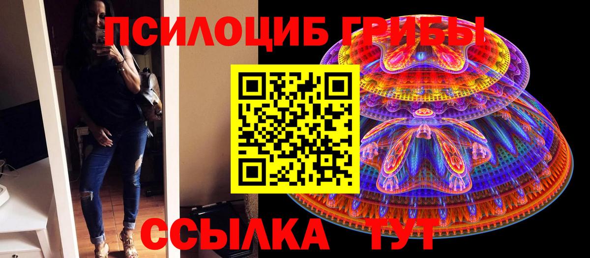 Галлюциногенные грибы Psilocybe Заволжье